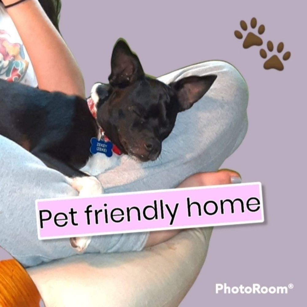 We are a pet friendly home.Thank you for viewing and shopping our closet.